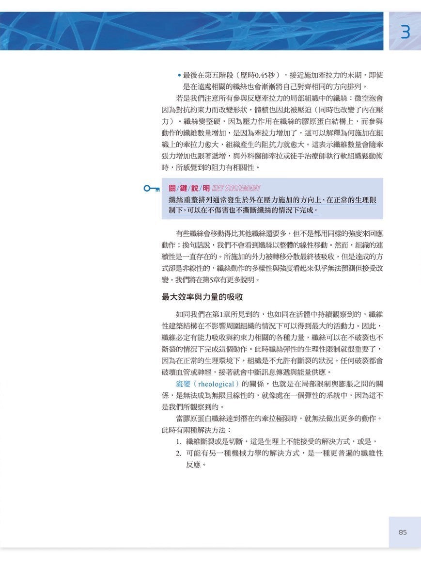 人體筋膜結構 內視鏡下的細胞與細胞外基質|凝聚教科書