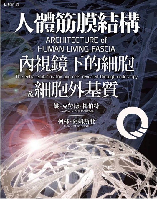 人體筋膜結構 內視鏡下的細胞與細胞外基質｜凝聚教科書